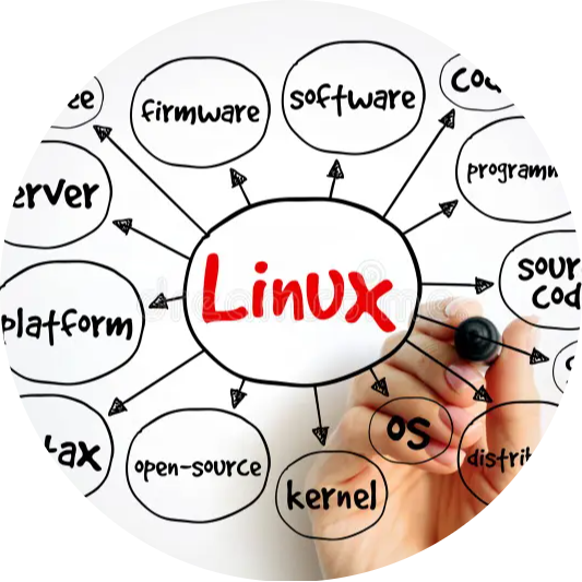 Linux & Shell Scripting