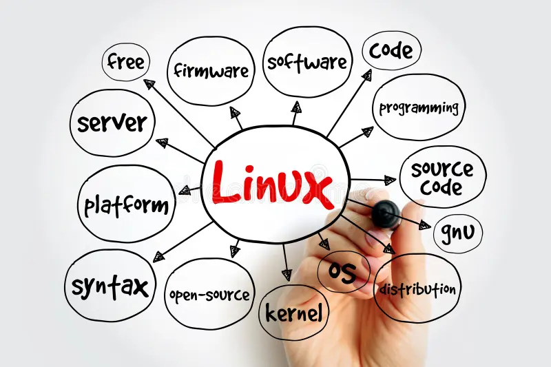 Linux & Shell Scripting